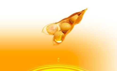 豆油期貨波動(dòng)一個(gè)點(diǎn)多少錢？豆油期