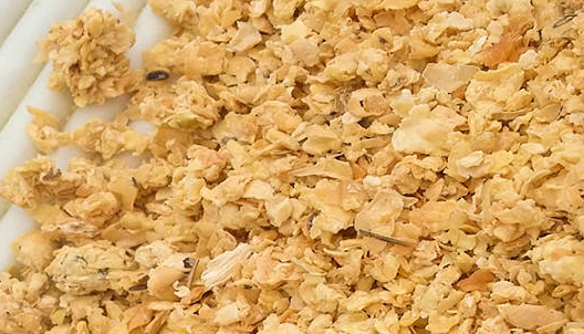 豆粕期貨行情分析，豆粕期貨的手續(xù)