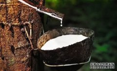 橡膠上漲仍可期，焦炭期現(xiàn)聯(lián)動(dòng)，向