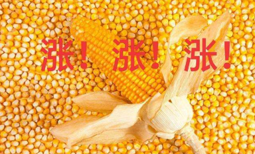 玉米期貨開戶要驗資嗎？為何不能買