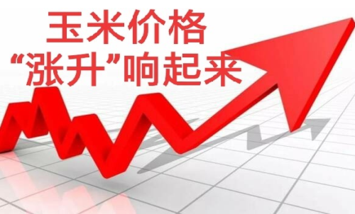 做玉米期貨盈利難嗎？玉米期貨漲5