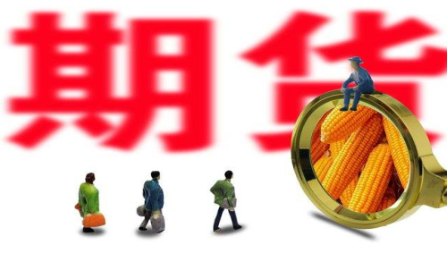 新手投資者怎么買玉米期貨？