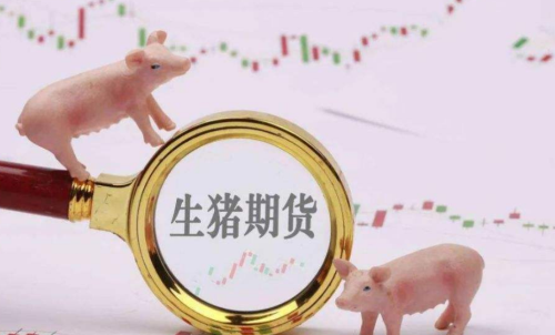 生豬期貨未來走勢將會如何？生豬期