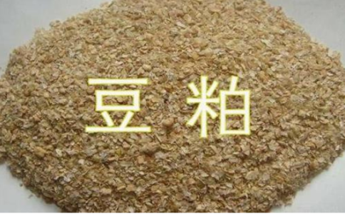 期貨豆粕和菜粕的關(guān)聯(lián)性，菜粕豆粕